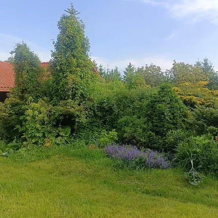 66 Rodzinny 1 Mierki