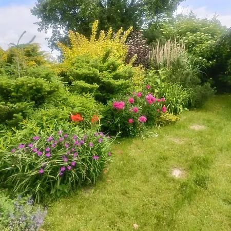 Penzion 66 Rodzinny 1